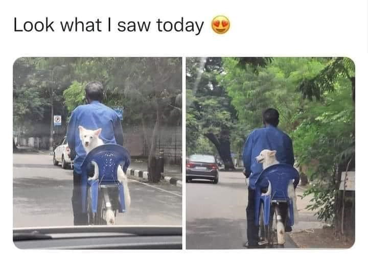 Look what I saw today