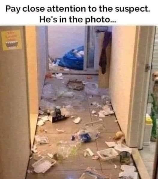 Pay close attention to the suspect. He's in the photo...