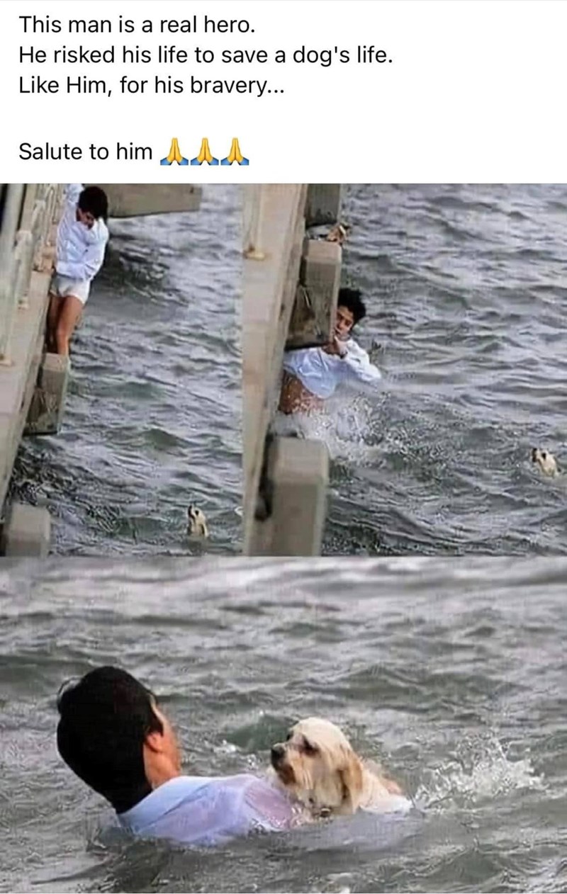 This man is a real hero. He risked his life to save a dog's life. Like Him, for his bravery... Salute to him A
