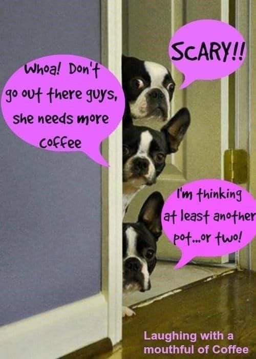 Whoa! Don't go out there guys, she needs more Coffee SCARY!! I'm thinking at least another pot...or two! Laughing with a mouthful of Coffee