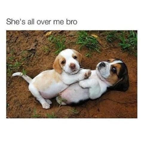 She's all over me bro