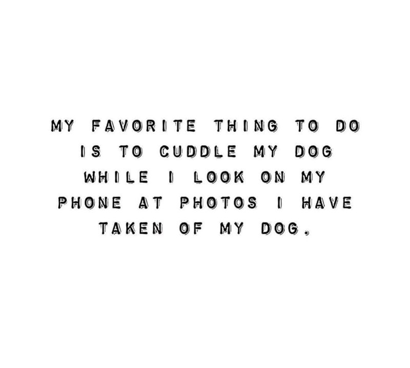 MY FAVORITE THING IS TO CUDDLE MY WHILE PHONE AT TAKEN TO DO DOG I LOOK ON MY PHOTOS HAVE OF MY DOG.