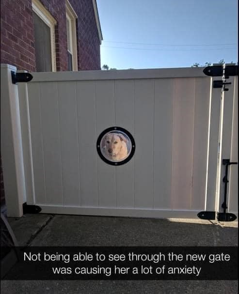 Not being able to see through the new gate was causing her a lot of anxiety