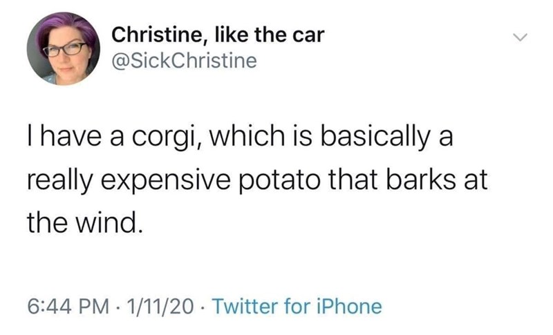 Christine, like the car @SickChristine I have a corgi, which is basically a really expensive potato that barks at the wind. 6:44 PM 1/11/20 Twitter for iPhone • •