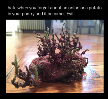 hate when you forget about an onion or a potato in your pantry and it becomes Evil
