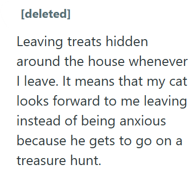 [deleted] Leaving treats hidden around the house whenever I leave. It means that my cat looks forward to me leaving instead of being anxious because he gets to go on a treasure hunt.