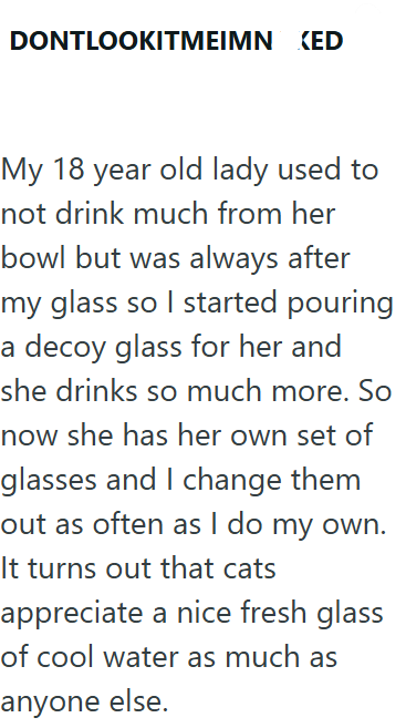 DONTLOOKITMEIMN KED My 18 year old lady used to not drink much from her bowl but was always after my glass so I started pouring a decoy glass for her and she drinks so much more. So now she has her own set of glasses and I change them out as often as I do my own. It turns out that cats appreciate a nice fresh glass of cool water as much as anyone else.
