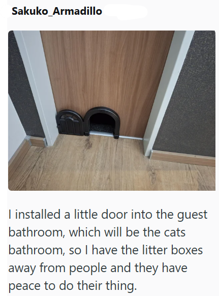 Sakuko Armadillo I installed a little door into the guest bathroom, which will be the cats bathroom, so I have the litter boxes away from people and they have peace to do their thing.