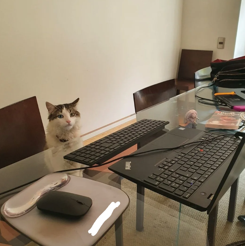 ThinkPad NSAWLER