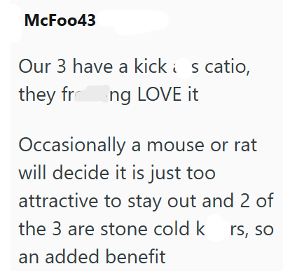 McFoo43 Our 3 have a kicks catio, they frong LOVE it Occasionally a mouse or rat will decide it is just too attractive to stay out and 2 of the 3 are stone cold k rs, so an added benefit