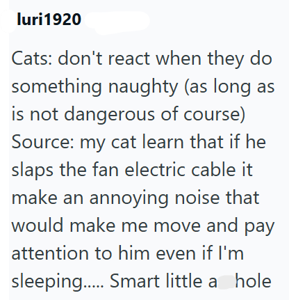 luri 1920 Cats: don't react when they do something naughty (as long as is not dangerous of course) Source: my cat learn that if he slaps the fan electric cable it make an annoying noise that would make me move and pay attention to him even if I'm sleeping..... Smart little a hole
