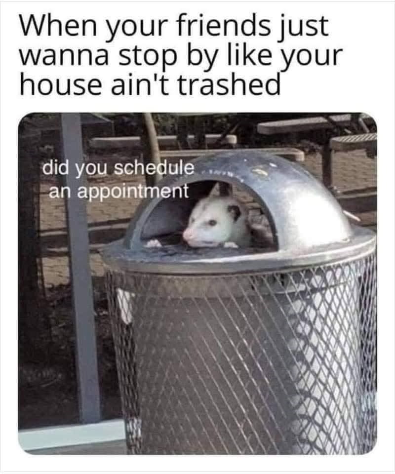 When your friends just wanna stop by like your house ain't trashed did you schedule an appointment