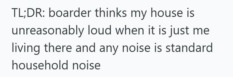 TL;DR: boarder thinks my house is unreasonably loud when it is just me living there and any noise is standard household noise