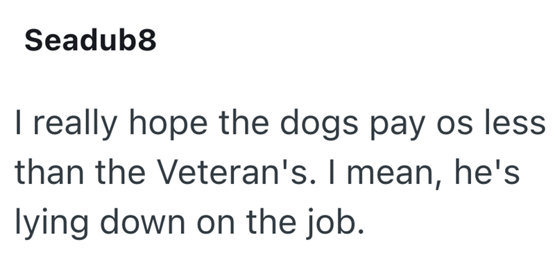 Seadub8 I really hope the dogs pay os less than the Veteran's. I mean, he's lying down on the job.