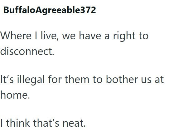 BuffaloAgreeable372 Where I live, we have a right to disconnect. It's illegal for them to bother us at home. I think that's neat.