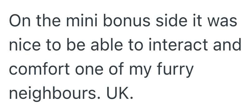 On the mini bonus side it was nice to be able to interact and comfort one of my furry neighbours. UK.