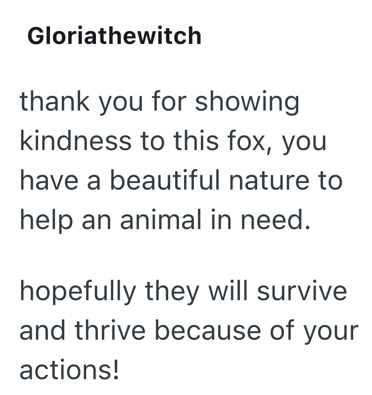Gloriathewitch thank you for showing kindness to this fox, you have a beautiful nature to help an animal in need. hopefully they will survive and thrive because of your actions!