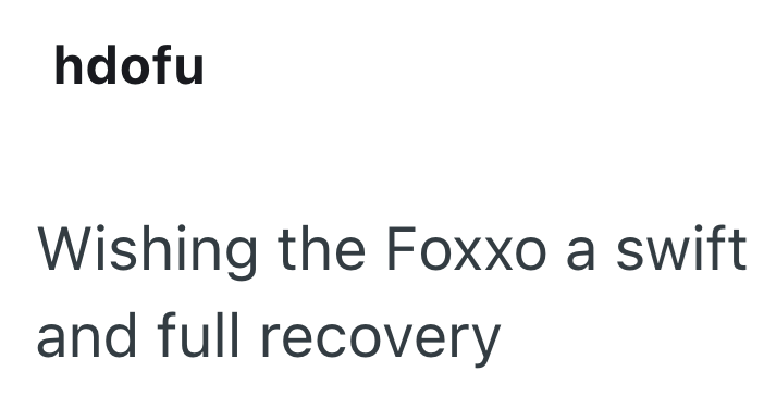 hdofu Wishing the Foxxo a swift and full recovery