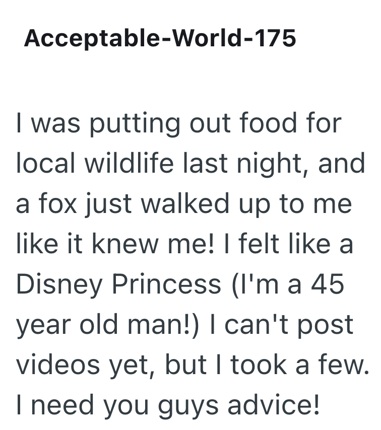 Acceptable-World-175 I was putting out food for local wildlife last night, and a fox just walked up to me like it knew me! I felt like a Disney Princess (I'm a 45 year old man!) I can't post videos yet, but I took a few. I need you guys advice!