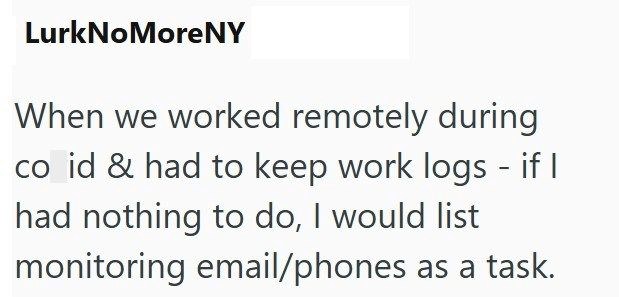 LurkNoMoreNY When we worked remotely during co id & had to keep work logs - if I had nothing to do, I would list monitoring email/phones as a task.