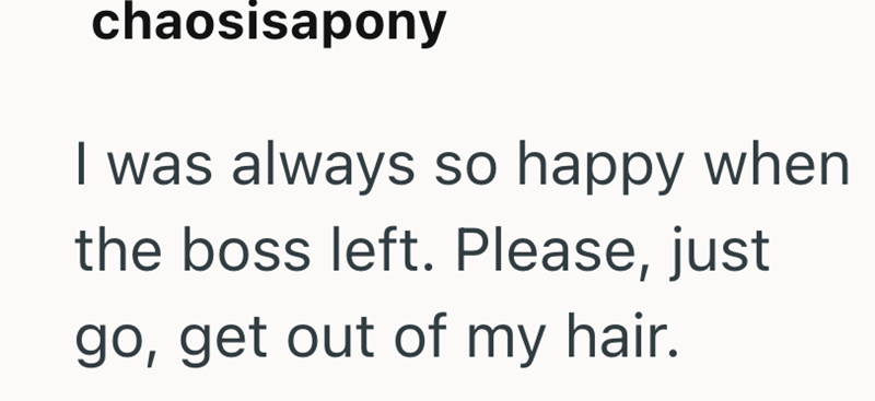 chaosisapony I was always so happy when the boss left. Please, just go, get out of my hair.