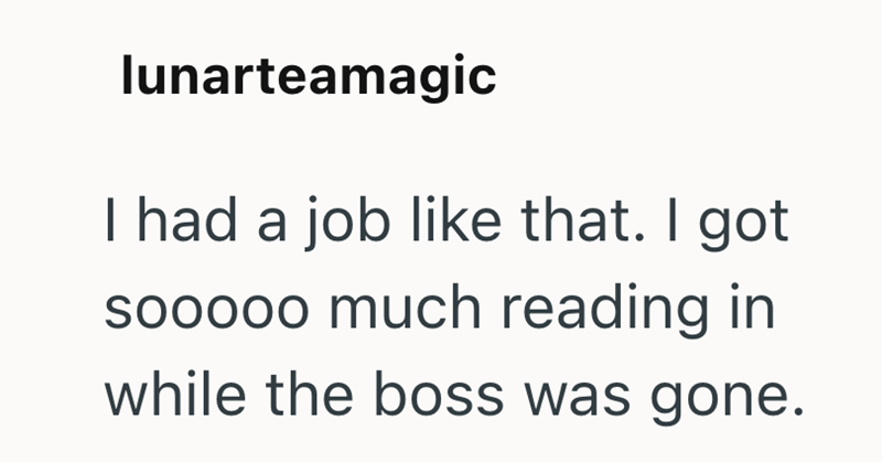 lunarteamagic I had a job like that. I got sooooo much reading in while the boss was gone.