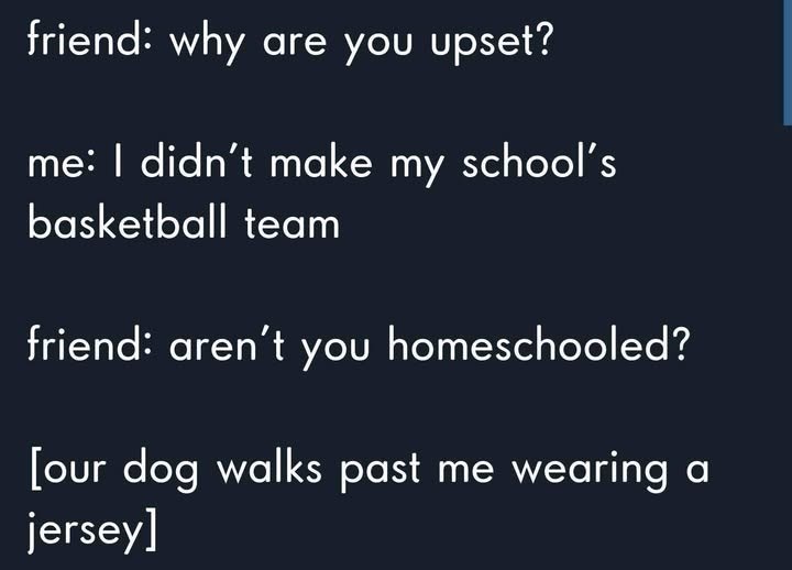 friend: why are you upset? me: I didn't make my school's basketball team friend: aren't you homeschooled? [our dog walks past me wearing a jersey]