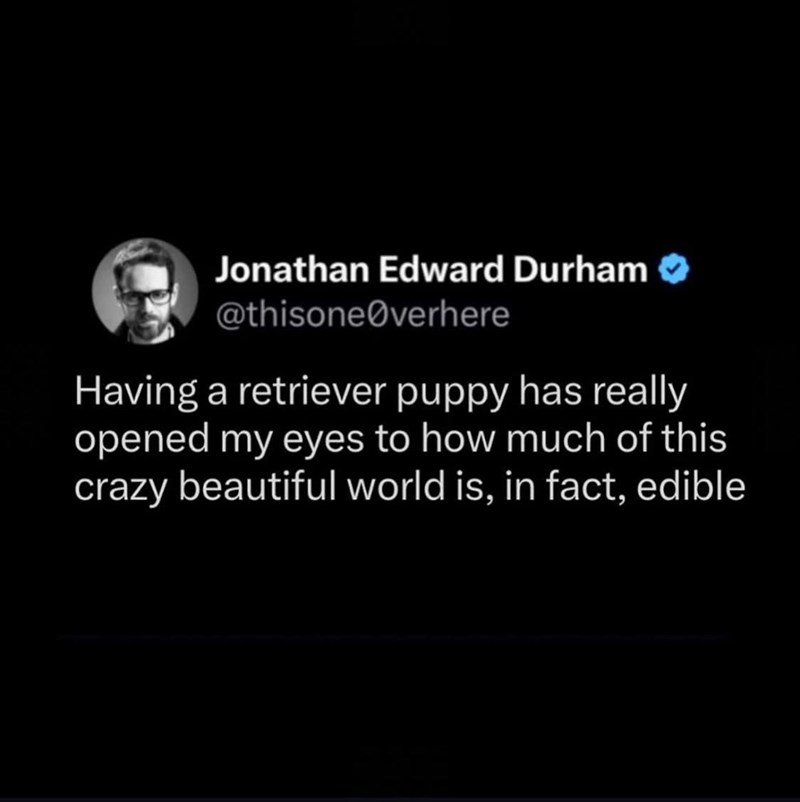 Jonathan Edward Durham @thisoneØverhere Having a retriever puppy has really opened my eyes to how much of this crazy beautiful world is, in fact, edible