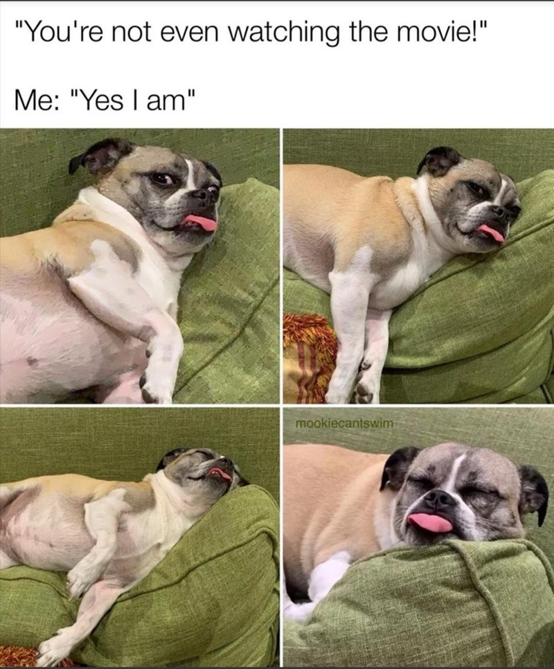 "You're not even watching the movie!" Me: "Yes I am" mookiecantswim