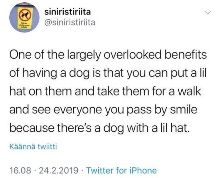 siniristiriita @siniristiriita One of the largely overlooked benefits of having a dog is that you can put a lil hat on them and take them for a walk and see everyone you pass by smile because there's a dog with a lil hat. Käännä twiitti 16.08 24.2.2019 Twitter for iPhone
