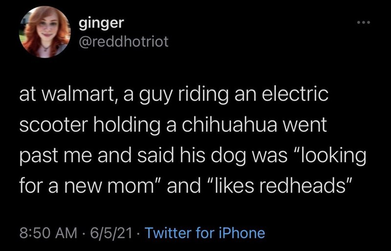 ginger @reddhotriot at walmart, a guy riding an electric scooter holding a chihuahua went past me and said his dog was "looking for a new mom" and "likes redheads" . 8:50 AM 6/5/21 Twitter for iPhone