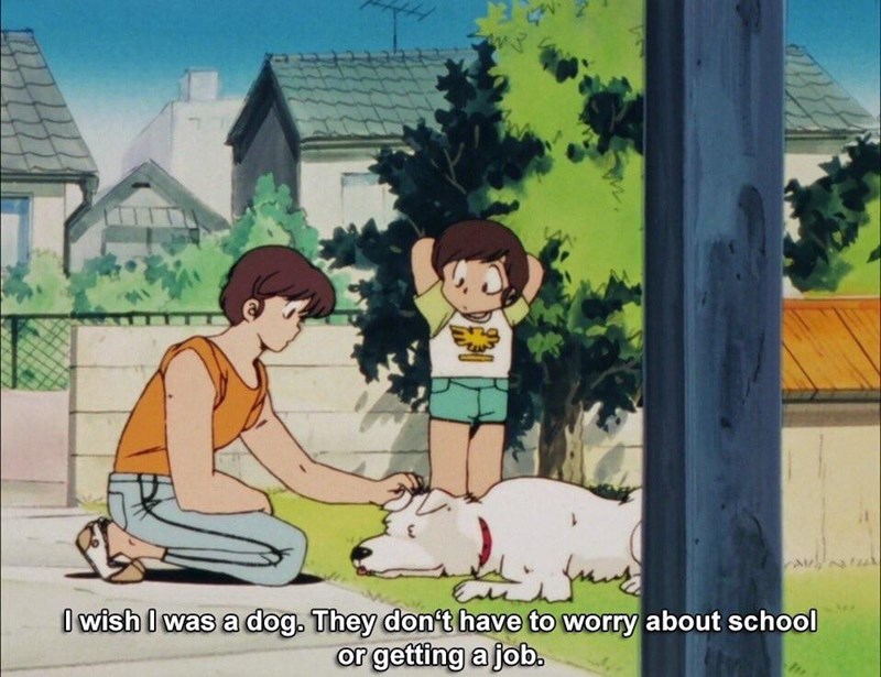 I wish I was a dog. They don't have to worry about school or getting a job. 22