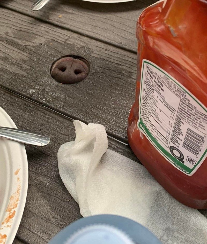 HEINZ CANADA TOON MIS The mammor an she ofus fainE CA Nutrition Facts Valeur nutritive ngredients: Tomato p from trash, ripe tomato Sugar, Vinegar, Saft, Ingridients: Pats de tomate (faite de tomates ratches et mores), Sucre, Vinaigre, Set, Epices. THICK Calories 20 15 m) 93 98 EFORE KETCHUP 0% ONCTURIDE KETCHUP ARTER PHRRIGERATE 0% plus c'est ANURTURE 57000-613280