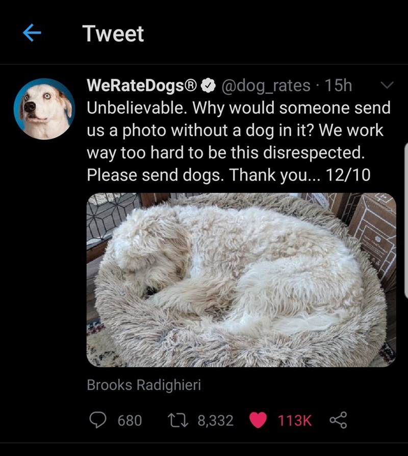 Tweet WeRateDogsⓇ @dog_rates 15h Unbelievable. Why would someone send us a photo without a dog in it? We work way too hard to be this disrespected. Please send dogs. Thank you... 12/10 Brooks Radighieri 680 78,332 113K