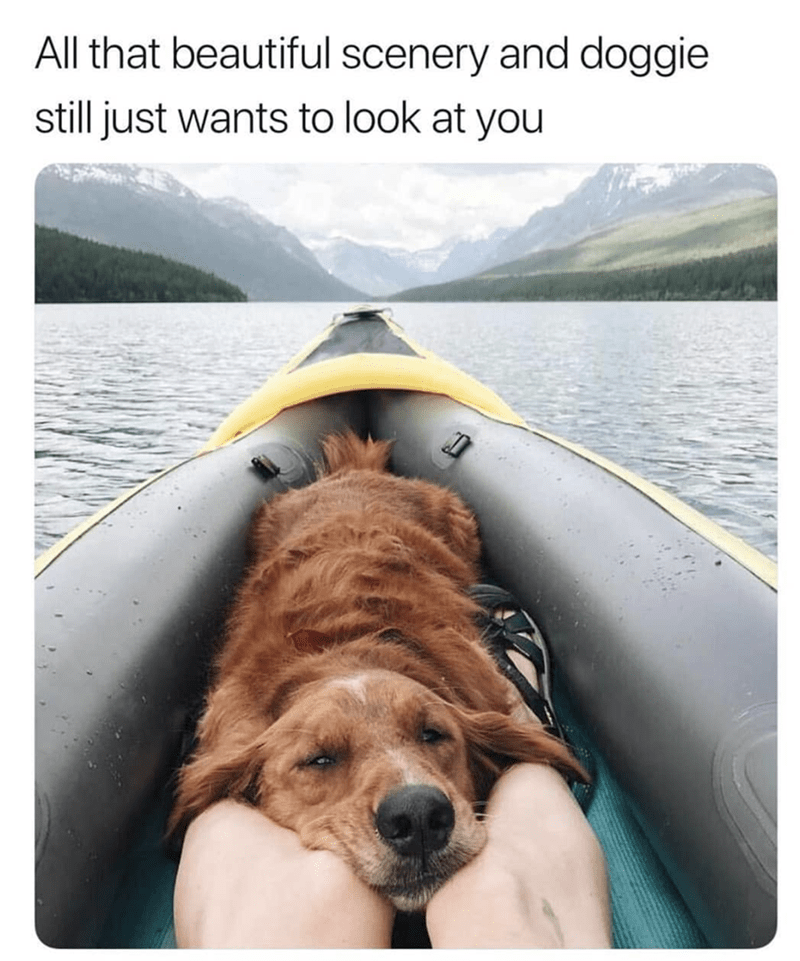 All that beautiful scenery and doggie still just wants to look at you