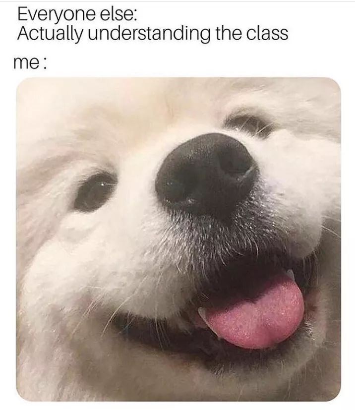 Everyone else: Actually understanding the class me: