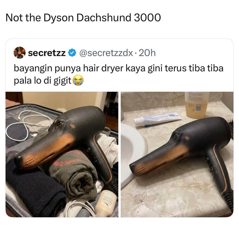 Not the Dyson Dachshund 3000 secretzz @secretzzdx. 20h bayangin punya hair dryer kaya gini terus tiba tiba pala lo di gigit
