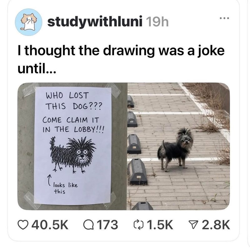studywithluni 19h I thought the drawing was a joke until... WHO LOST THIS DOG??? COME CLAIM IT IN THE LOBBY!!! looks like this 40.5K 173 1.5K ▼ 2.8K