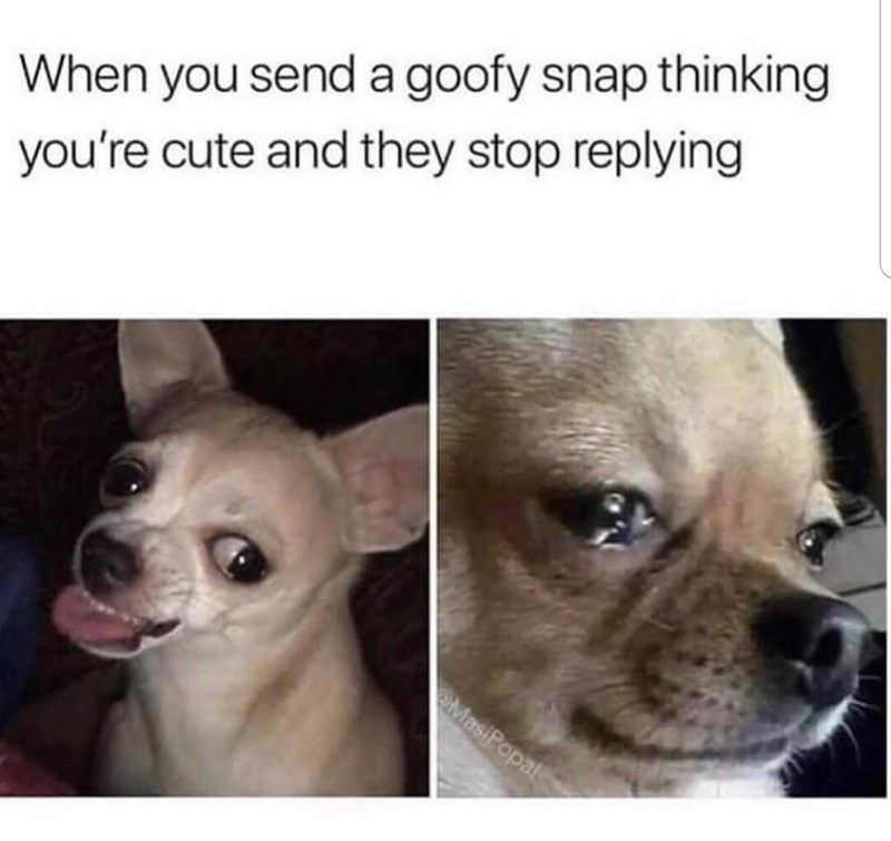 When you send a goofy snap thinking you're cute and they stop replying MasiPopal