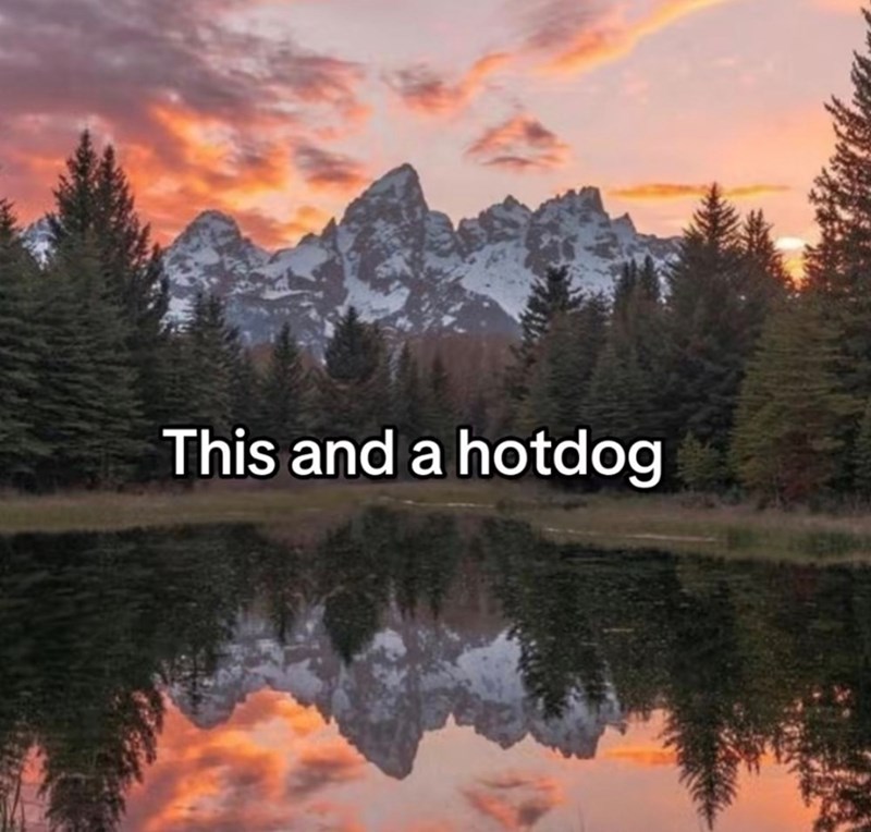 This and a hotdog