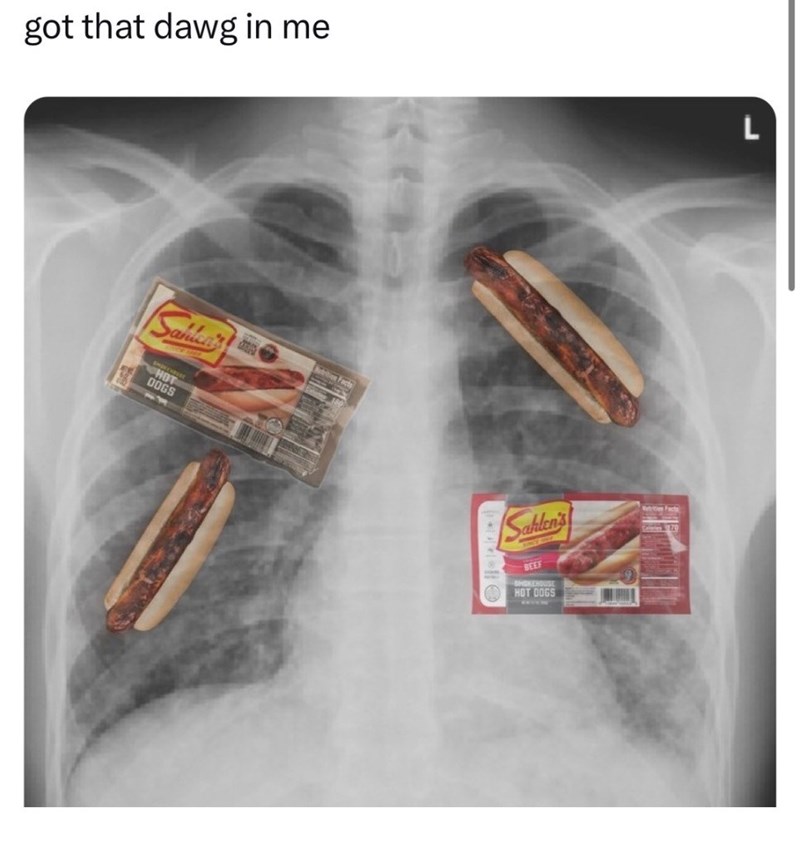 got that dawg in me Sahter's HOT DOGS Sahlen's Nation Facts BEEF SMOKEHOUSE HOT DOGS L