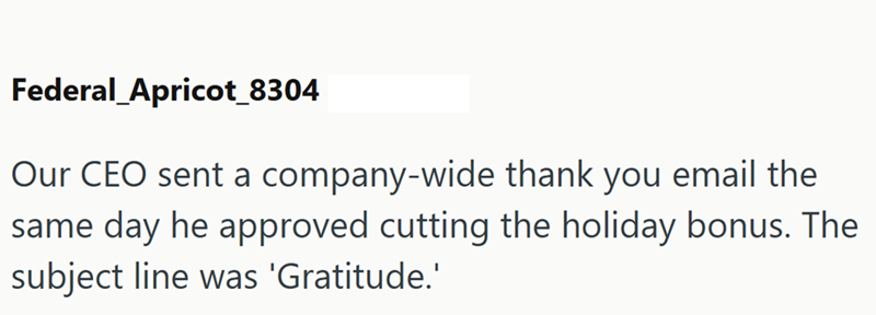 Federal Apricot_8304 Our CEO sent a company-wide thank you email the same day he approved cutting the holiday bonus. The subject line was 'Gratitude.'