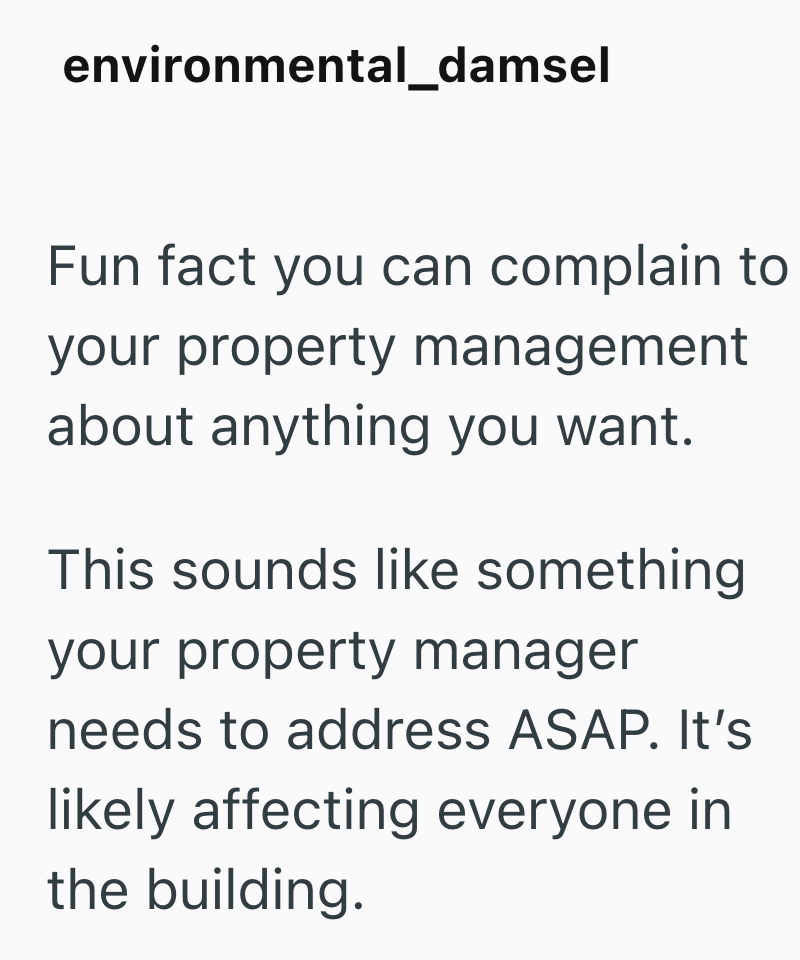 environmental_damsel Fun fact you can complain to your property management about anything you want. This sounds like something your property manager needs to address ASAP. It's likely affecting everyone in the building.