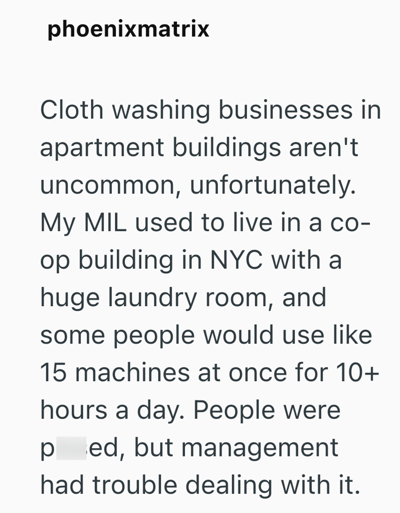 phoenixmatrix Cloth washing businesses in apartment buildings aren't uncommon, unfortunately. My MIL used to live in a co- op building in NYC with a huge laundry room, and some people would use like 15 machines at once for 10+ hours a day. People were ped, but management had trouble dealing with it.