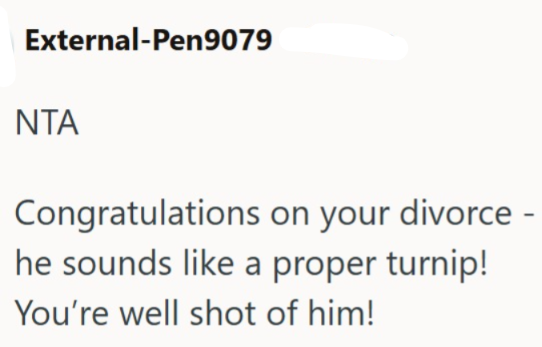 External-Pen9079 NTA Congratulations on your divorce - he sounds like a proper turnip! You're well shot of him!