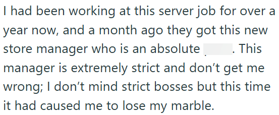 I had been working at this server job for over a year now, and a month ago they got this new store manager who is an absolute . This manager is extremely strict and don't get me wrong; I don't mind strict bosses but this time it had caused me to lose my marble.