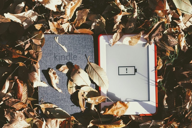 low battery kindle on brown grass