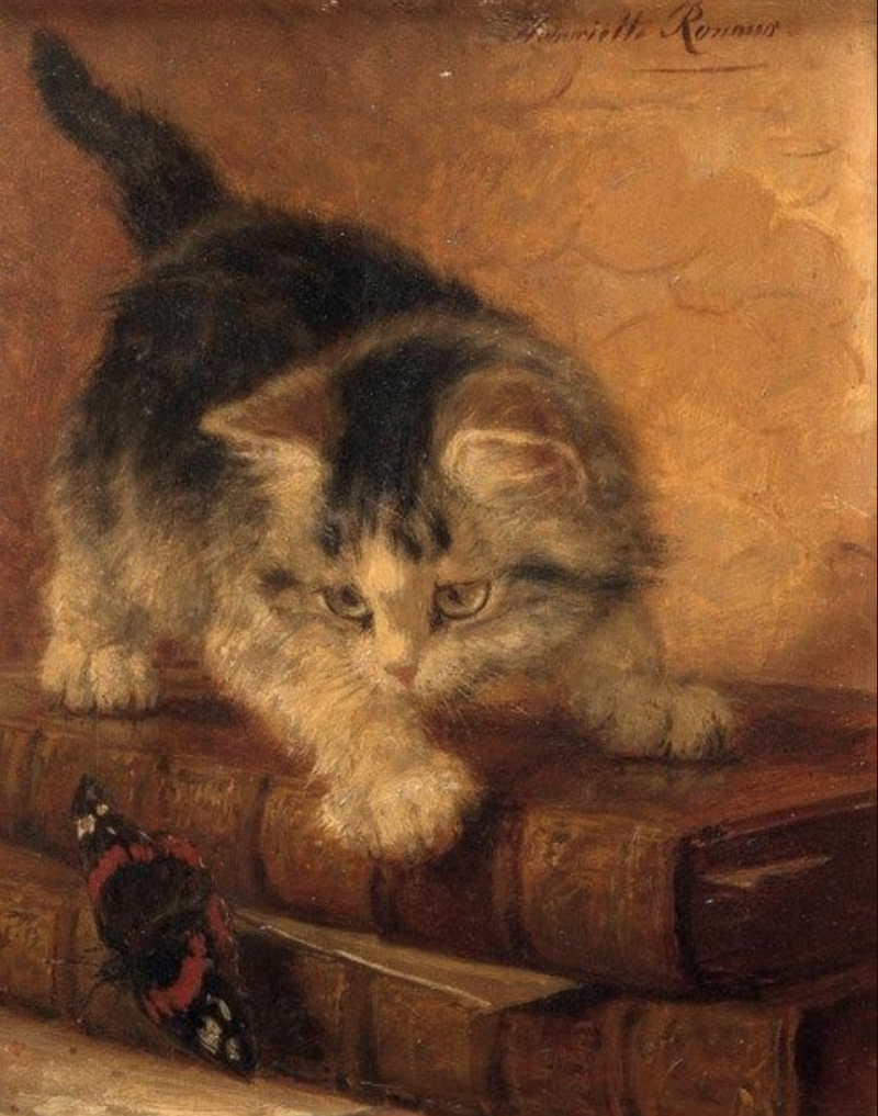 nette Rommes