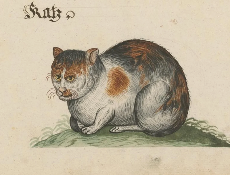 Katz,