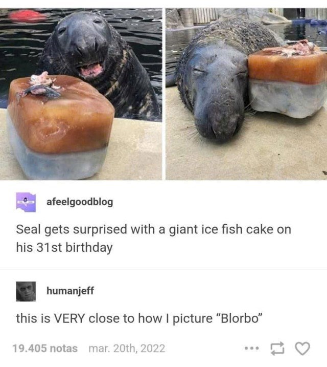afeelgoodblog Seal gets surprised with a giant ice fish cake on his 31st birthday humanjeff this is VERY close to how I picture "Blorbo" 19.405 notas mar. 20th, 2022